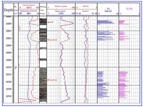 Созданная комплексная колонка с использованием данных в базе комплексной 
информации кернов 